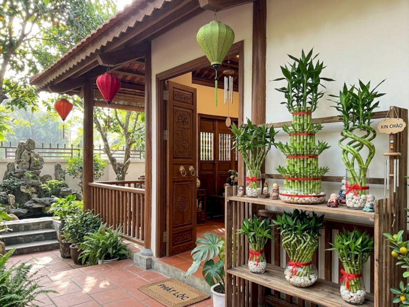 Cây Ngọc Ngân đặt ở hai bên bậc tam cấp giúp gia chủ xua đuổi năng lượng xấu và giữ tâm trí minh mẫn khi đưa ra quyết định