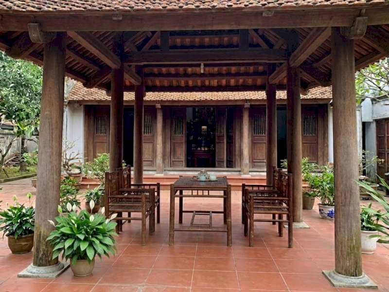 Cây Phong Lộc Hoa đặt ở khu vực sảnh trước hoặc bồn hoa sát tường giúp gia chủ gia tăng năng lượng tích cực và mang lại cuộc sống sung túc