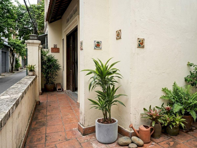 Đặt Cây Thiết Thiết Lan ở góc sân trước nhà hoặc cạnh cổng chính giúp gia chủ thu hút tiền bạc và tạo môi trường sống trong lành