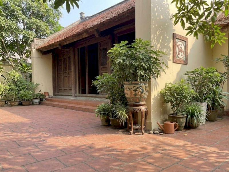 Đặt Cây Ngũ Gia Bì ở khoảng sân nhỏ trước cửa giúp gia chủ ổn định tài chính và hạn chế thất thoát tiền bạc