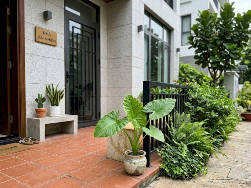 Cây Tai Phật đặt ở góc sân giúp gia chủ giữ sự bình tĩnh và đưa ra quyết định sáng suốt