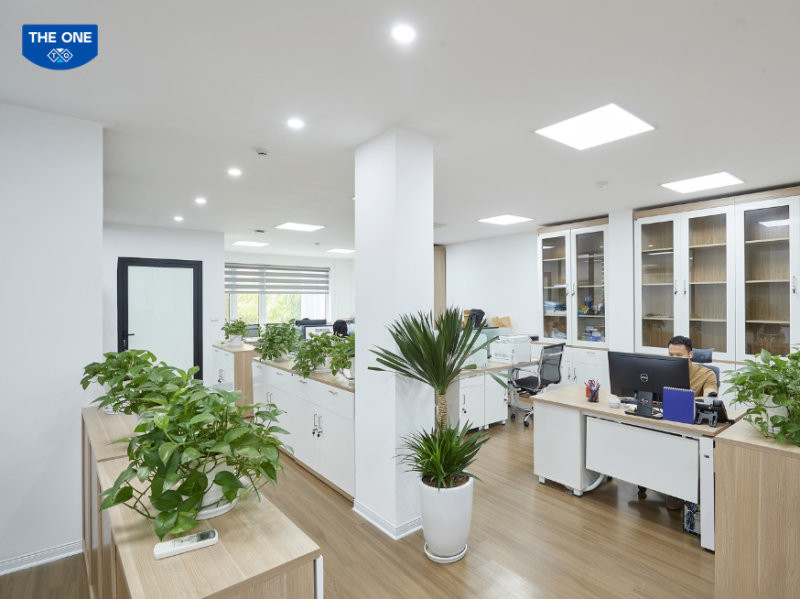 Sự kết hợp hoàn hảo giữa ánh sáng tự nhiên và hệ thống đèn LED 4000K tạo môi trường làm việc lý tưởng.