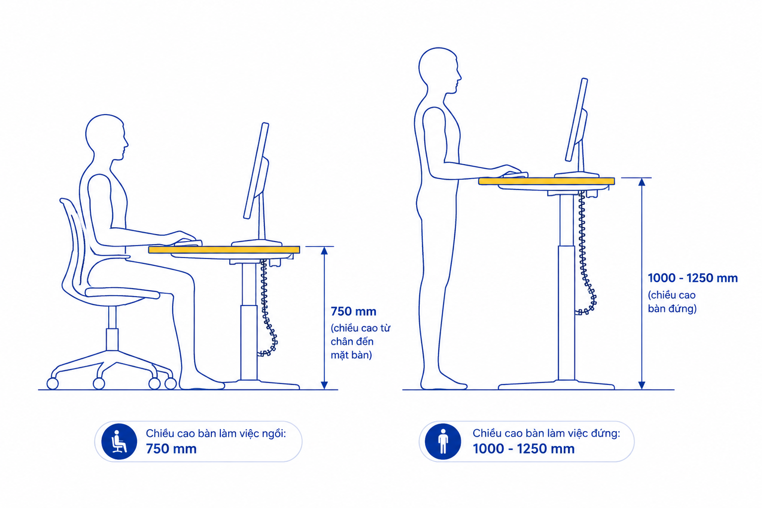 Chiều cao bàn làm việc đứng tiêu chuẩn cho người Việt Nam thường dao động từ 100 cm đến 125 cm (tương đương 1000 mm đến 1250 mm)