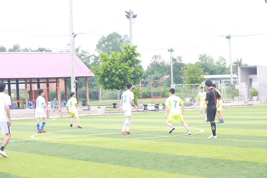 GỖ CN+Gỗ Sơn