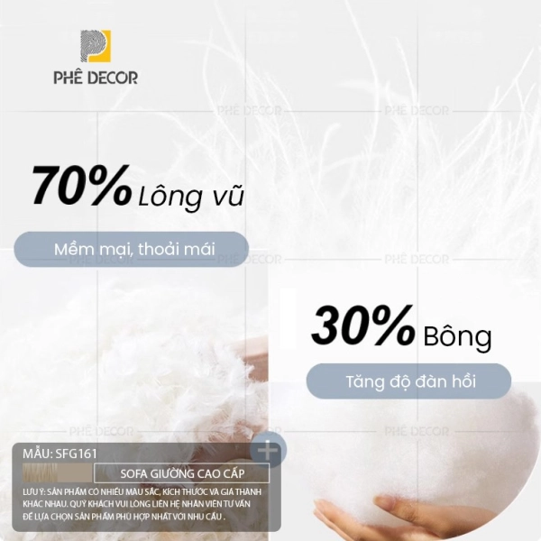 Không có ảnh