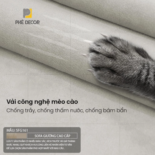 Không có ảnh
