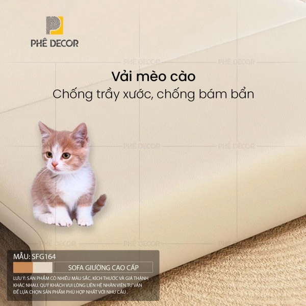 Không có ảnh