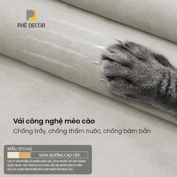 Không có ảnh