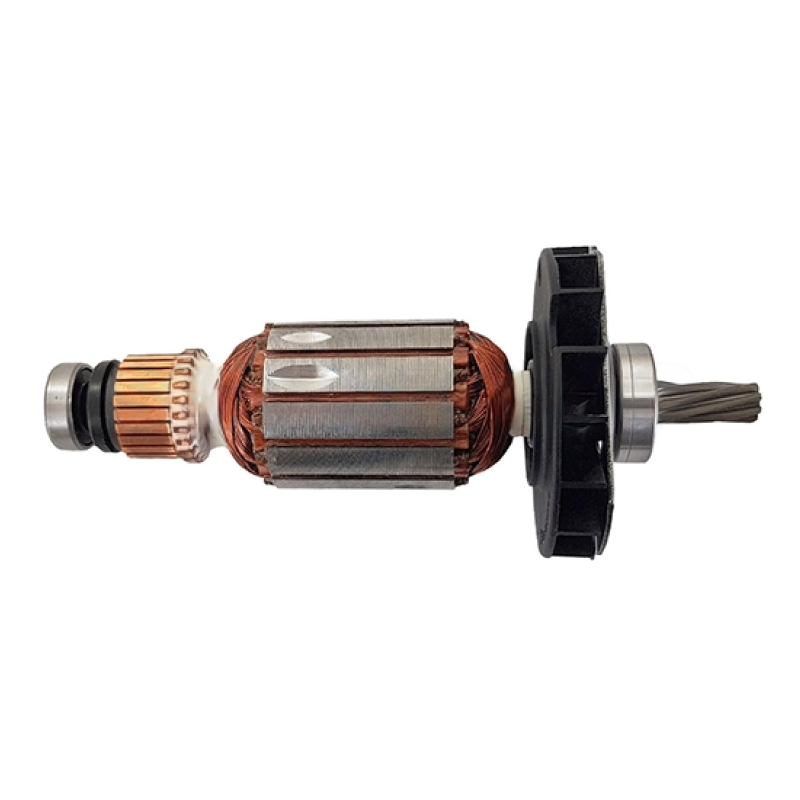 Rotor BOSCH - GBH2-24 - 1619P13450