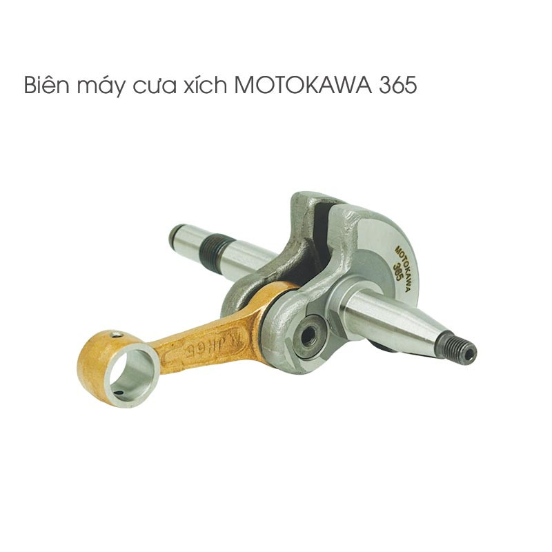 Biên cưa xích MOTOKAWA - 365