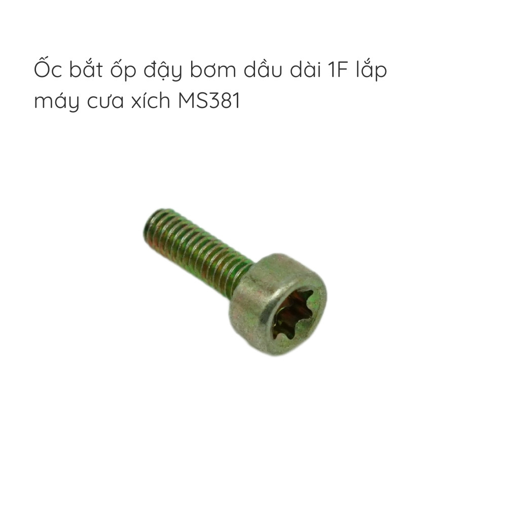 ốc bắt ốp đậy bơm dầu dài 1F lắp cưa xích - MS381