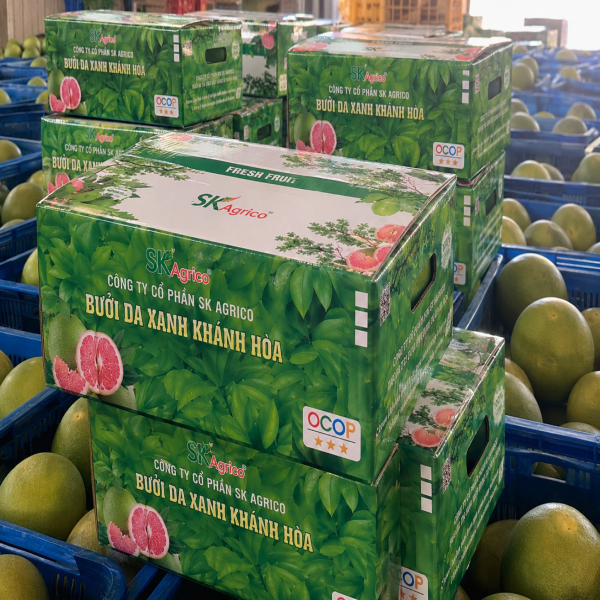 thung-10kg-mau-1-1