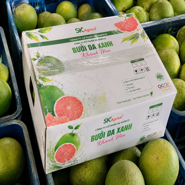 thung-10kg-mau-2-1-1