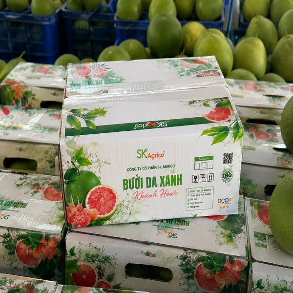 thung-10kg-mau-2-2-1