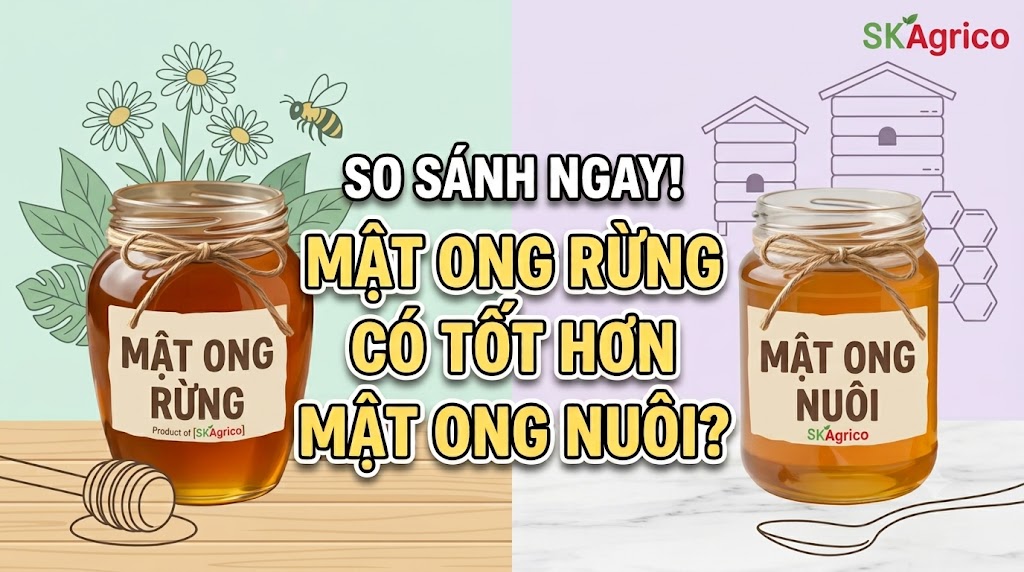 Mật ong rừng có tốt hơn mật ong nuôi? Những điều bạn cần biết
