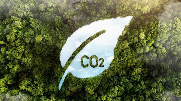 Graphic illustrating CO2 reduction and carbon credit systems in a green forest.