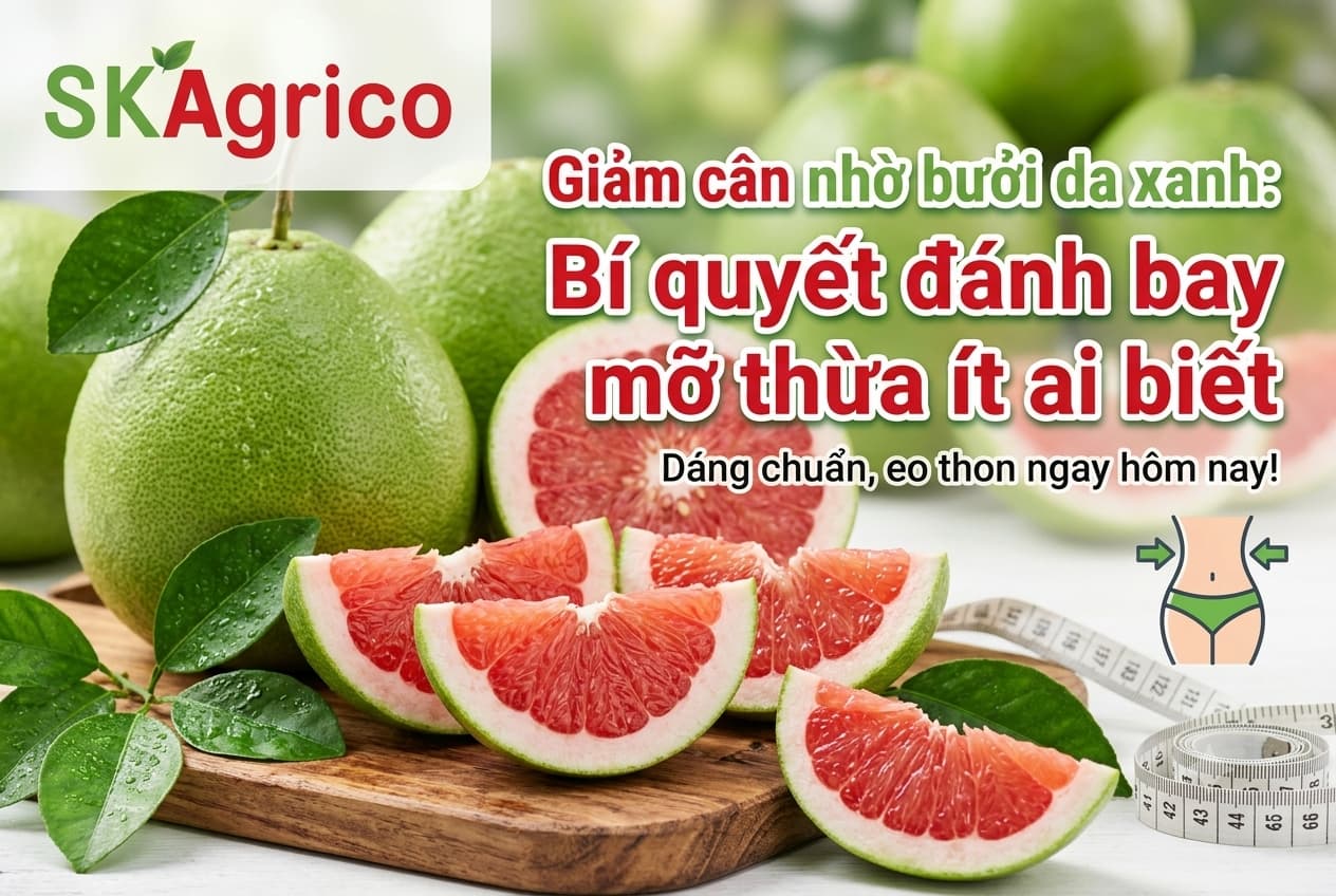 Giảm cân nhờ bưởi da xanh: Bí quyết đánh bay mỡ thừa ít ai biết
