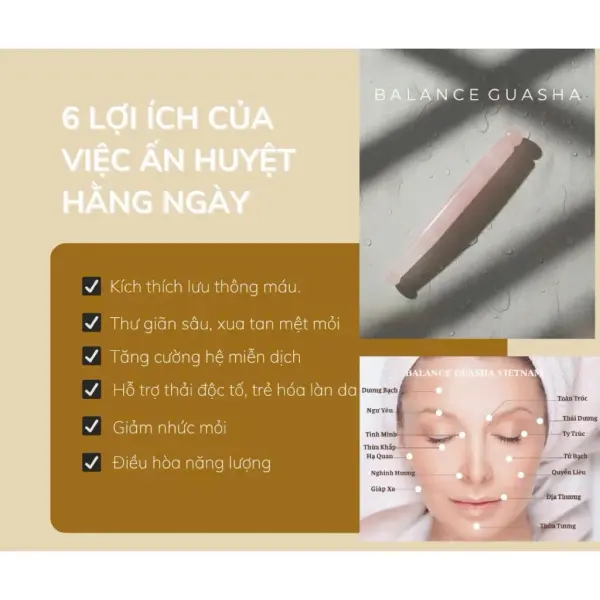 vn-11134207-820l4-meu2ifq3fiti27