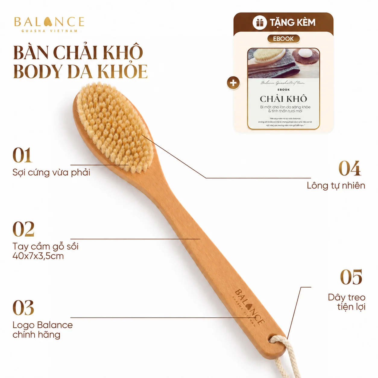 Bàn Chải Khô Body cho da khoẻ BALANCE Tay Cầm Gỗ Sồi, Lông Tự Nhiên Giúp Tẩy Da Chết Sáng Mịn Da - [TẶNG EBOOK]