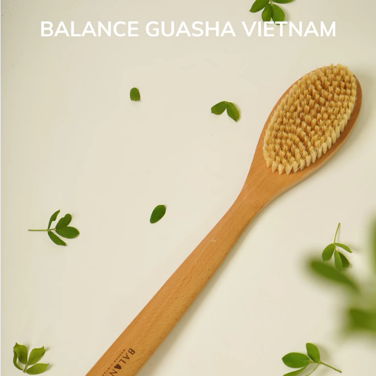 Bàn Chải Khô Body cho da khoẻ BALANCE Tay Cầm Gỗ Sồi, Lông Tự Nhiên Giúp Tẩy Da Chết Sáng Mịn Da - [TẶNG EBOOK]
