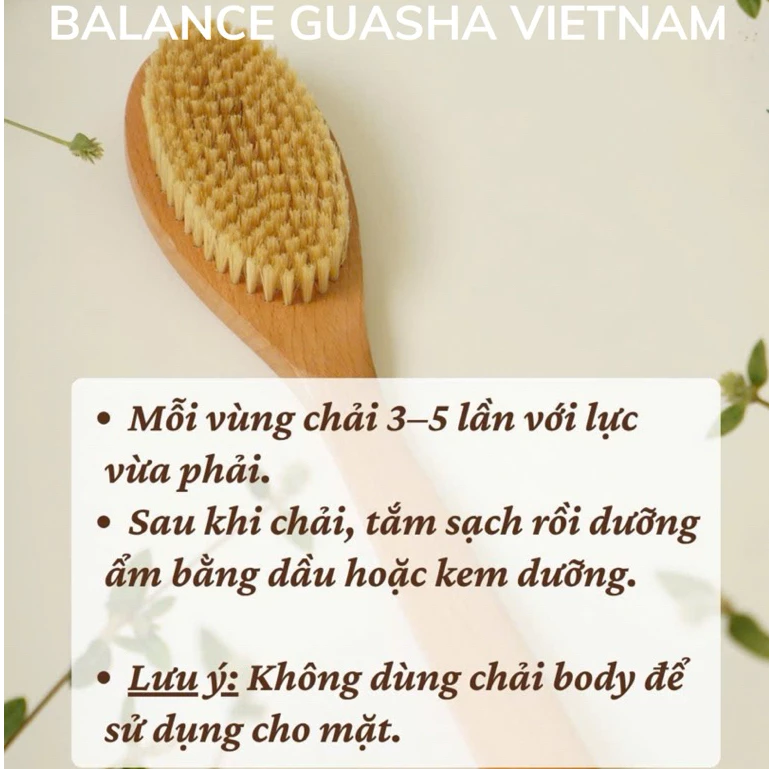 Bàn Chải Khô Body cho da thường BALANCE Tay Cầm Gỗ Sồi, Lông Tự Nhiên Giúp Tẩy Da Chết Sáng Mịn Da