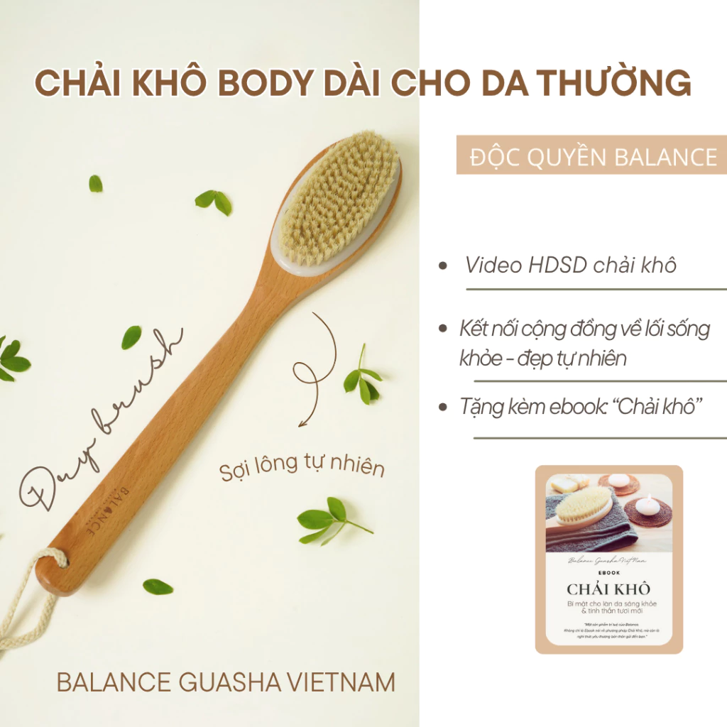 Bàn Chải Khô Body cho da thường BALANCE Tay Cầm Gỗ Sồi, Lông Tự Nhiên Giúp Tẩy Da Chết Sáng Mịn Da