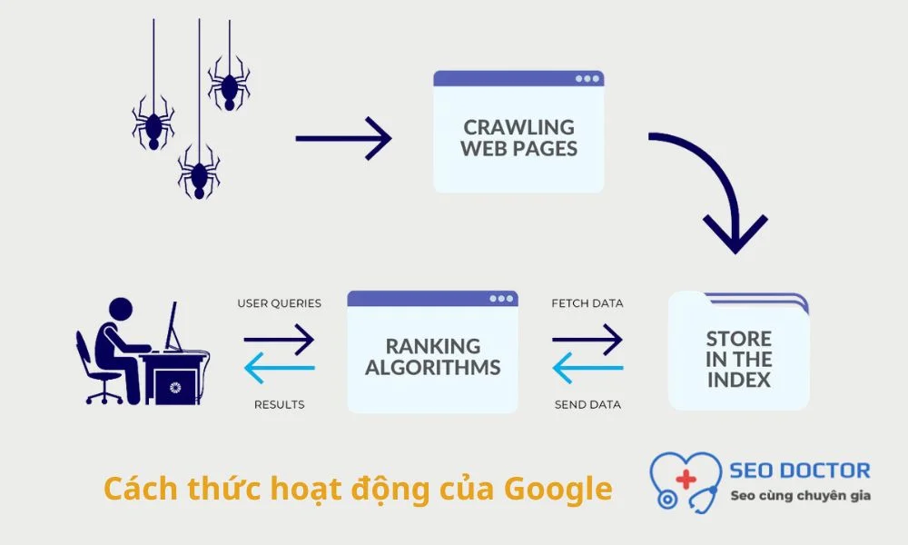 Google Search hoạt động như thế nào