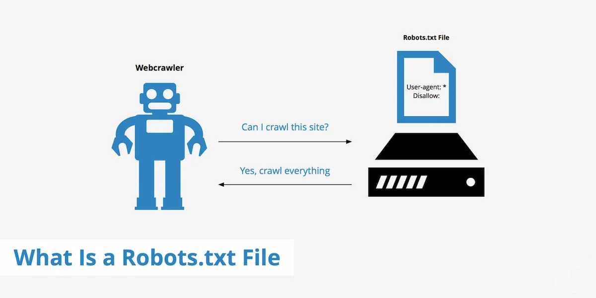 Bot sẽ luôn hỏi robots.txt có hay không