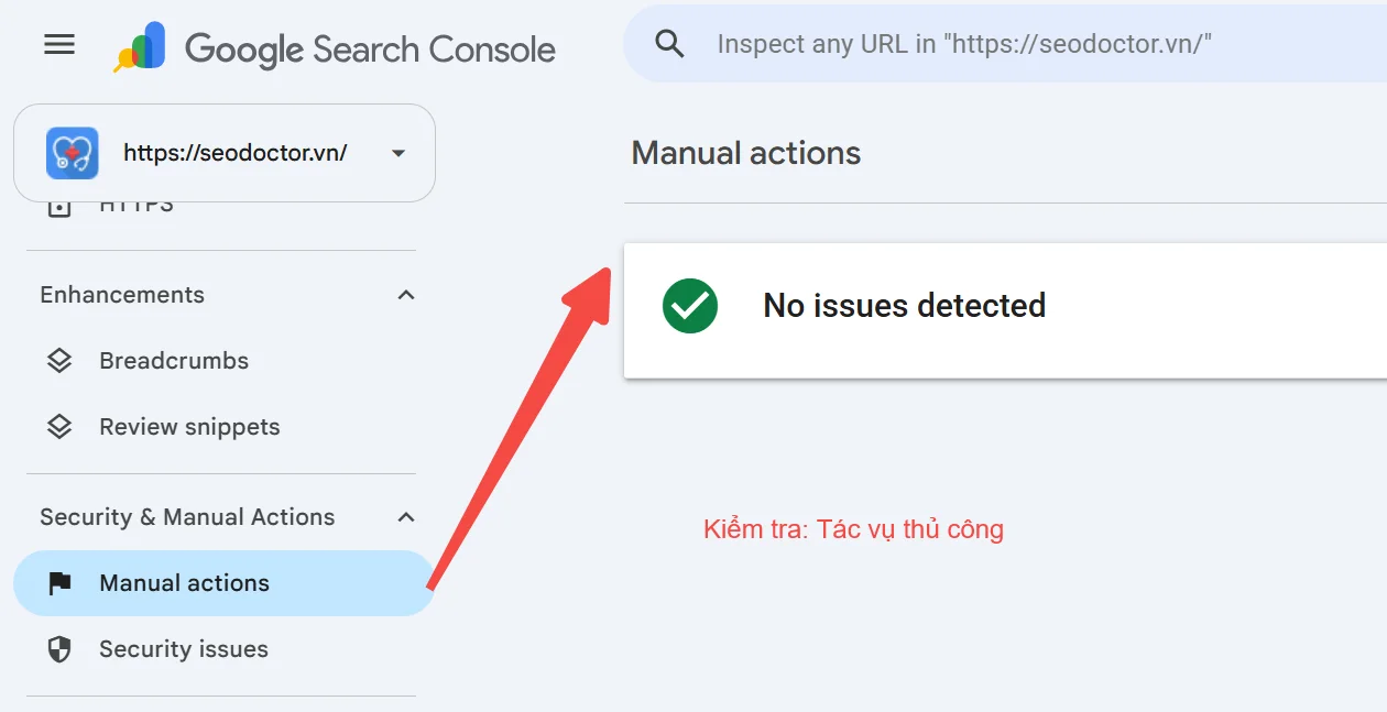 Check Manual actions