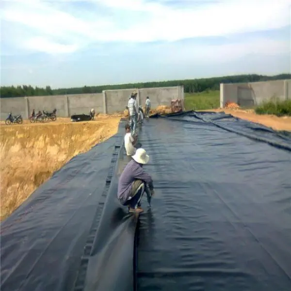 Ao Nuôi Lót Bạt HDPE: Giải Pháp Tối Ưu Cho Ngành Nuôi Tôm