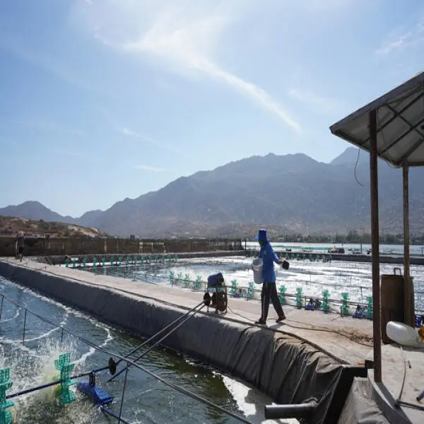 Thức Ăn và Hiệu Quả Kinh Tế Trong Nuôi Nuôi Thủy Sản: Lợi Ích Và Trả Thức