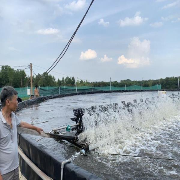 Tại Sao Độ Mặn Là Yếu Tố Trong Nuôi Tôm