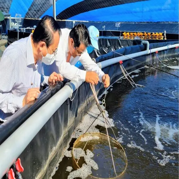 Tôm Bị Ký Sinh Trùng: Dấu Hiệu, Nguyên Nhân Và Biện Pháp Điều Trị