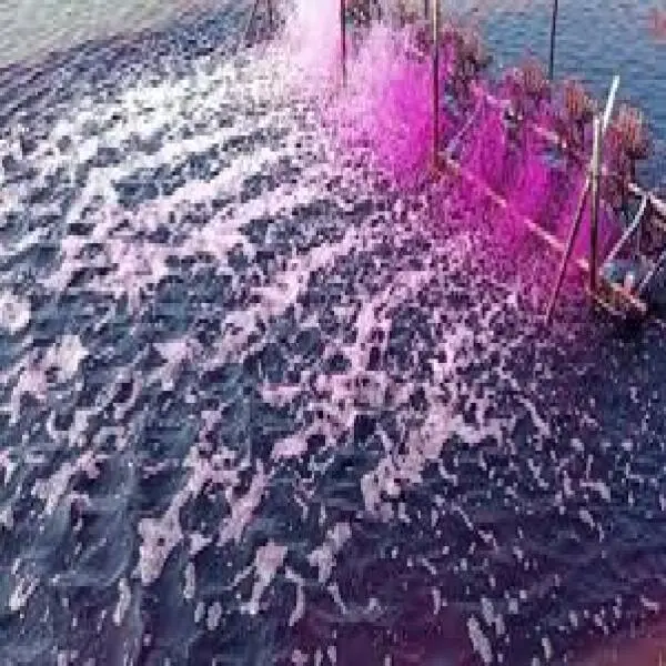 Cách Diệt Khuẩn Ao Tôm: Phương Pháp An Toàn và Hiệu Quả