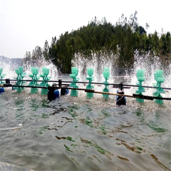 Kiểm Soát Bọt Trong Ao Nuôi Tôm: Nguyên Nhân và Giải Pháp Hiệu Quả