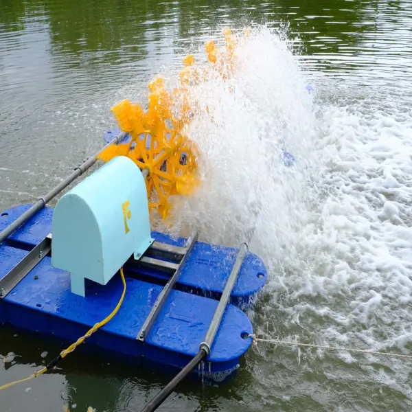 Giữ Màu Nước Ổn Định: Bí Quyết Thành Công Trong Nuôi Tôm, Cá