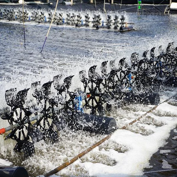 Quản Lý Chất Lơ Lửng Gây Stress và Bệnh Tật Cho Tôm