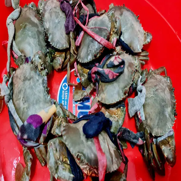 Giá Tôm, Cua Miền Tây Tăng Vào Cuối Vụ: Yếu Tố Tác Động và Triển Vọng