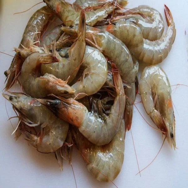 Làm Thế Nào Để Xác Định Thời Gian Đào Thải Kháng Sinh Ở Tôm?