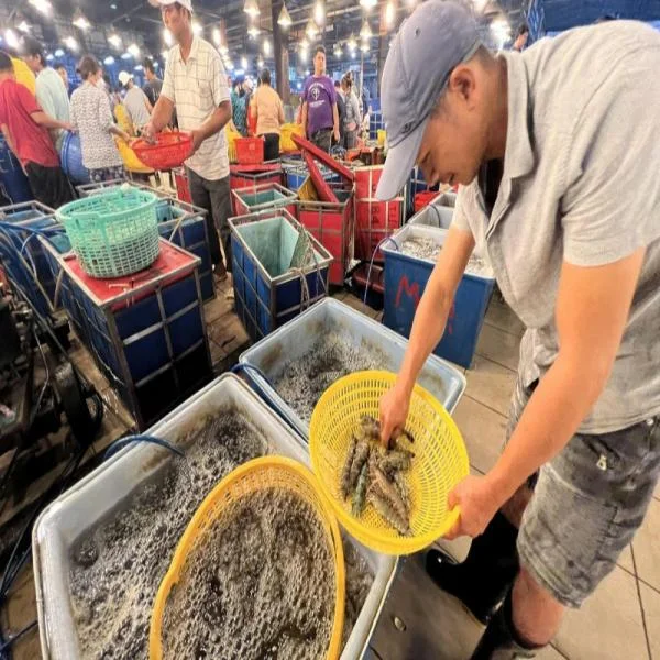 Kinh Tế Tuần Hoàn Trong Nông Nghiệp Tại Quảng Ngãi: Bước Đi Bền Vững Cho Phát Triển Địa Phương