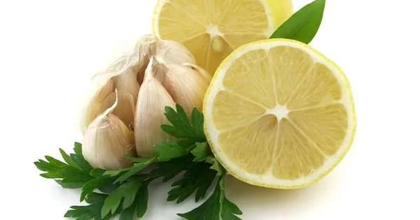 Nuôi tôm thẻ chân trắng thành công bằng vi sinh kết hợp cùng tỏi hoặc chanh