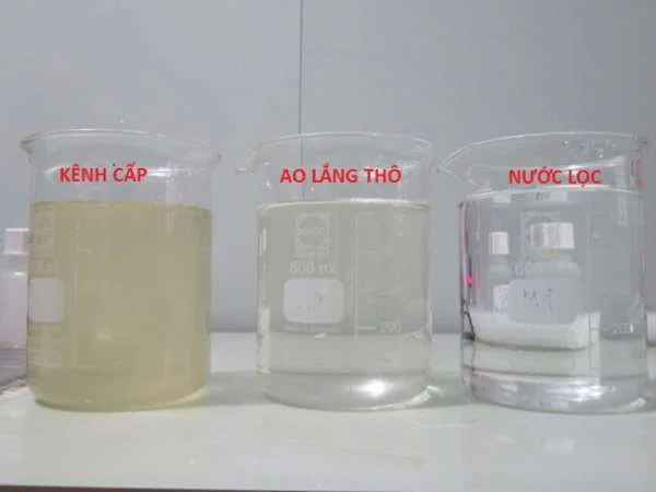 Hóa Chất Xử Lý Nước: Chìa Khóa Cho Sự Thành Công Trong Nuôi Tôm