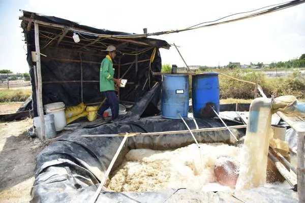 Xâm Nhập Mặn: Đe Dọa Đối Với Miền Tây Việt Nam