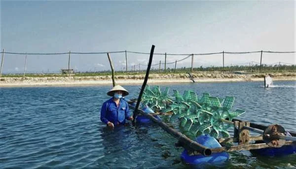 Cải tạo đầm nuôi thủy sản ở Cà Mau: Tiên phong ứng dụng cơ giới hoá