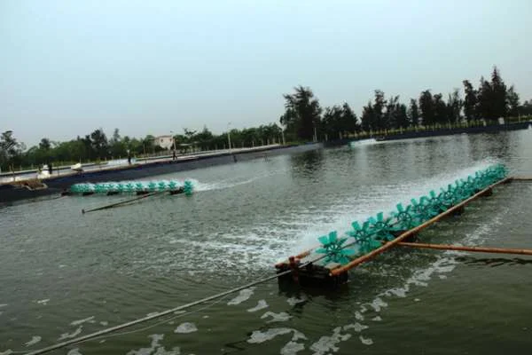 Hệ Sinh Thái Cân Đối: Mô Hình Nuôi Tôm An Toàn Sinh Học Ở Quảng Bình