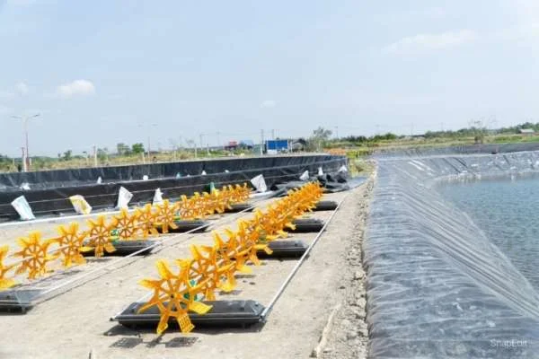 Vệ Sinh Thiết Bị Nuôi Tránh Gây Lây Nhiễm Trong Nuôi Cấy Thực Phẩm: