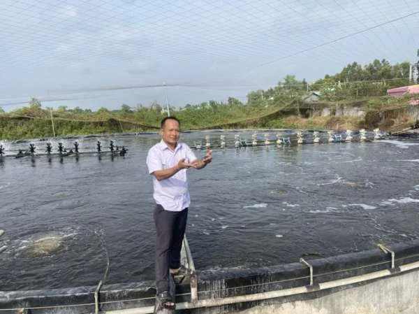 Kỹ Thuật Nuôi Tôm Hiện Đại: Cơ Hội và Những Trở Ngại Đối Mặt