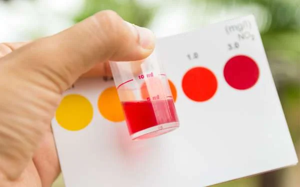 Bí quyết giảm thiểu khí độc trong ao nuôi tôm: Chiến lược hiệu quả cho người nuôi