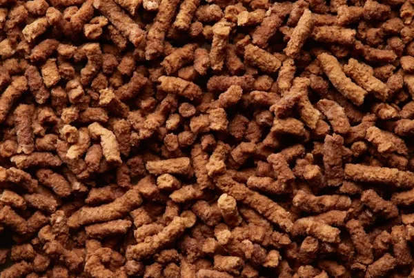 Nguồn Dinh Dưỡng Chiến Lược: Protein Nấm Cho Sức Khỏe Tôm Nuôi