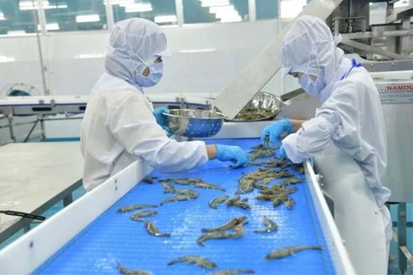 Biến đổi Chiều của Thủy Sản Việt Nam: Cơ Hội và Thách Thức